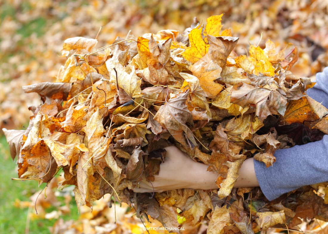 Gathering and disposing of fall leaves